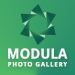 wp-modula.jpg