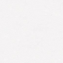 bg.jpg