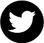 twitter-old.png