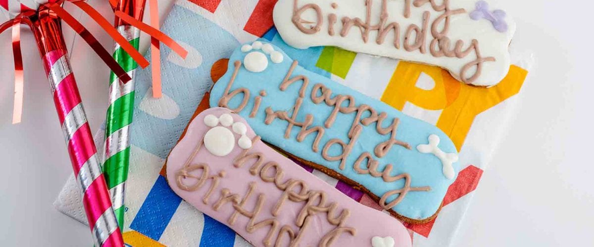 birthday-biscuit-layout-1200x500.jpg