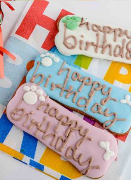 birthday-biscuit-layout-270x370.jpg