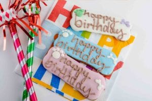 birthday-biscuit-layout-300x200.jpg