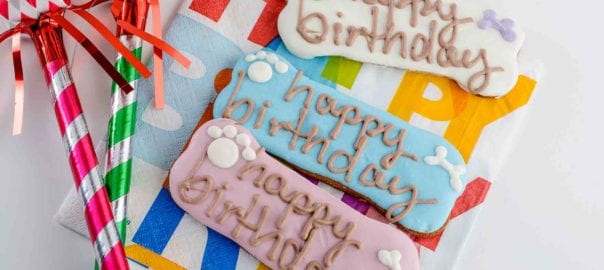 birthday-biscuit-layout-604x270.jpg