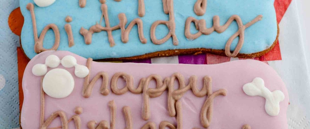 birthday-biscuit-1200x500.jpg