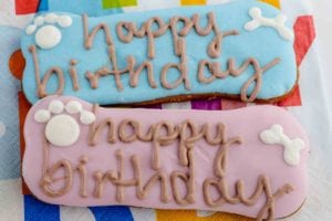 birthday-biscuit-300x200.jpg