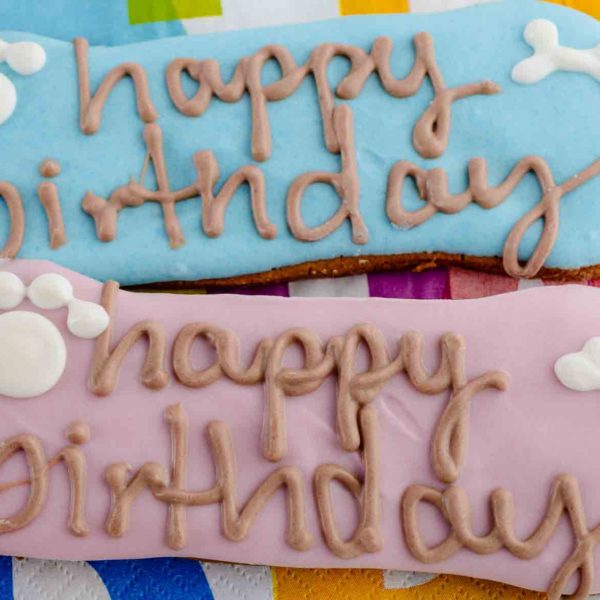 birthday-biscuit-600x600.jpg