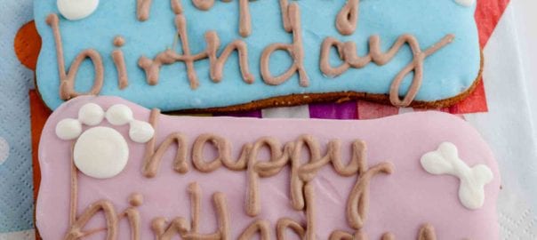 birthday-biscuit-604x270.jpg