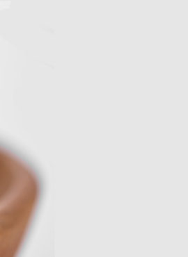 Main-banner-04-270x370.jpg