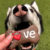 puppy-50x50.jpg