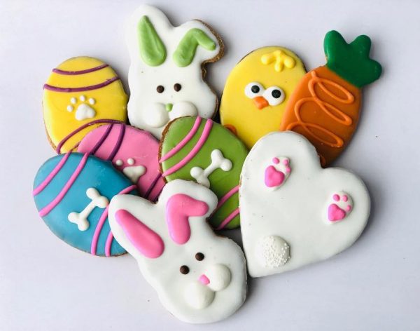 Various-Dog-Treats-600x472.jpeg