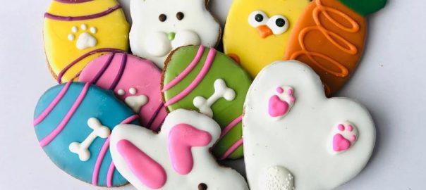 Various-Dog-Treats-604x270.jpeg
