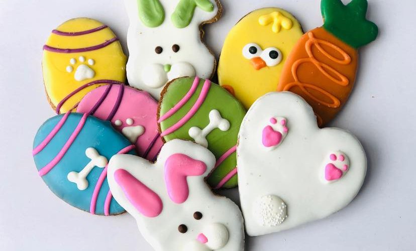 Various-Dog-Treats-828x500.jpeg